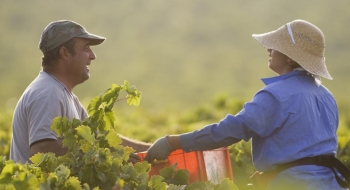 Novos investimentos empresariais e rurais devem gerar 1.272 empregos diretos